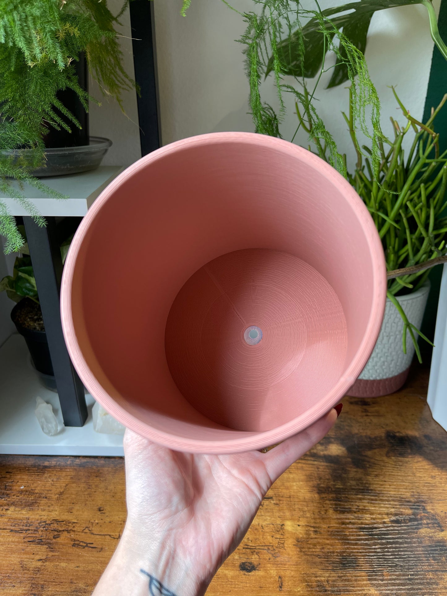 3D Printed Planter from Plant Based Materials